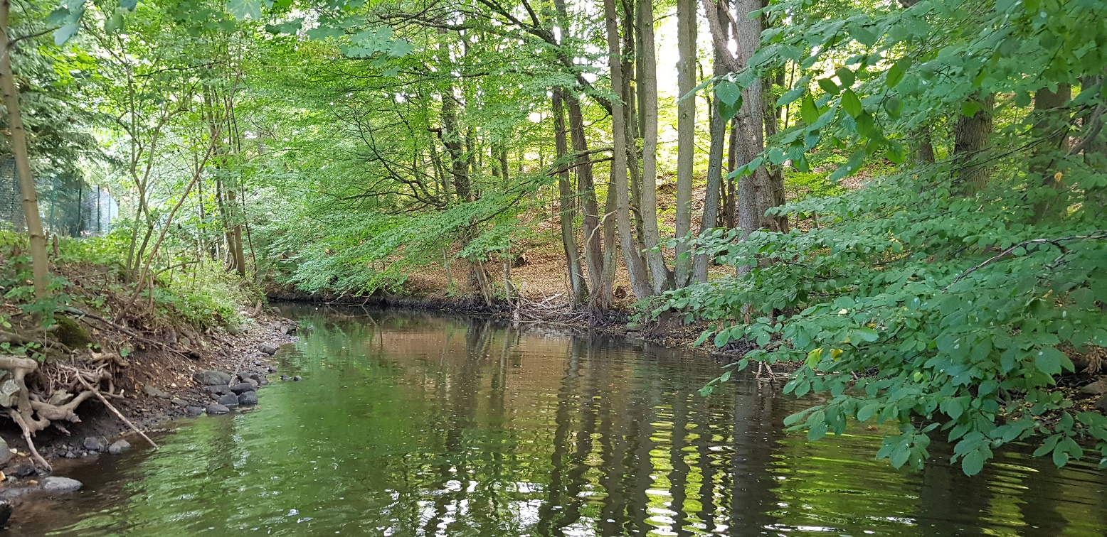 Ukleja - Troszczyno U-TR