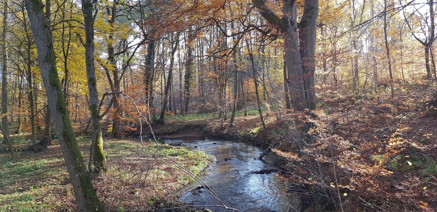 Piaskowa - Maliniec P-MA